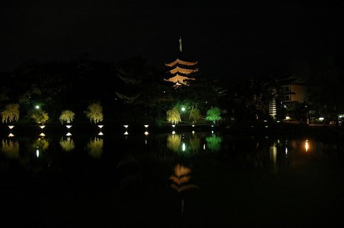 奈良夜07.JPG