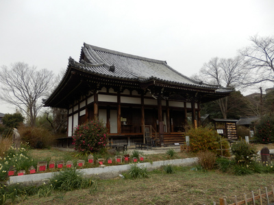 Nara2014_10.jpg